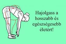 Hajolgass te is a hosszabb életért!