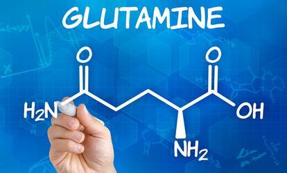 Mit kell tudni a glutaminról Mit kell tudni a glutaminról
