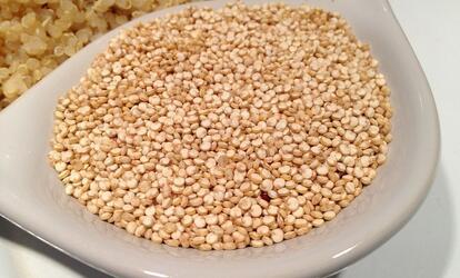 Legjobb növényi fehérje forrás a quinoa
