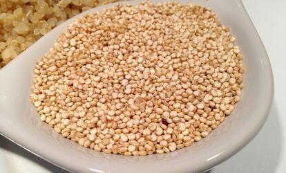 Legjobb növényi fehérje forrás a quinoa Legjobb növényi fehérje forrás a quinoa