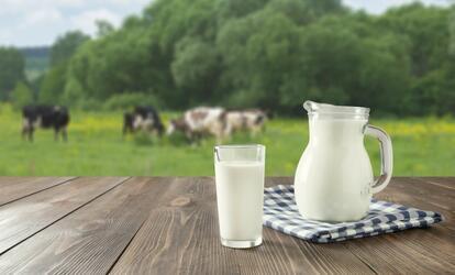  6 leggyakoribb tévhit a tejről
