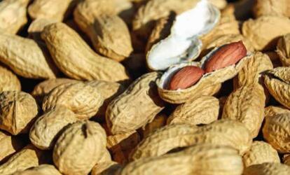 Biotin, kolin , és az inozitol fontosságát: Ismerd meg a biotin, kolin , és az inozitol fontosságát:
