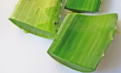 Mutatok pár szuper aloe verás receptet! Miért érdemes aloe vera gélt inni?