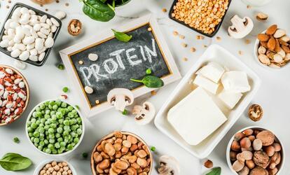 Növényi fehérjeforrások Vegán fehérjeforrások