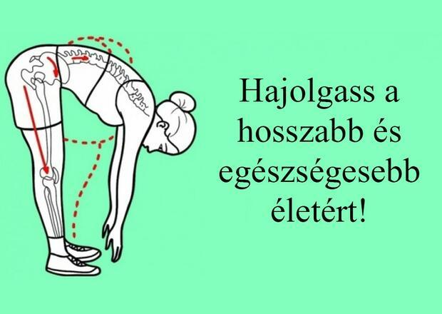 Az izmok karbantartása hajolgatással