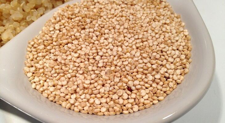 Legjobb növényi fehérje forrás a quinoa