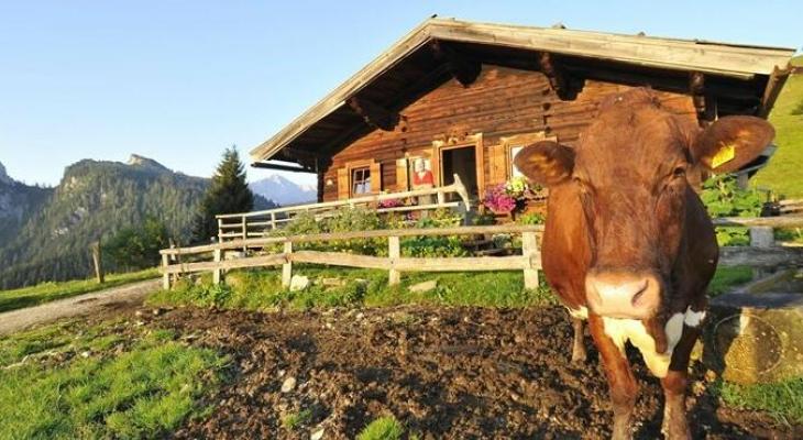 ébredés rántottaillatra Stresszoldás hegyi levegővel