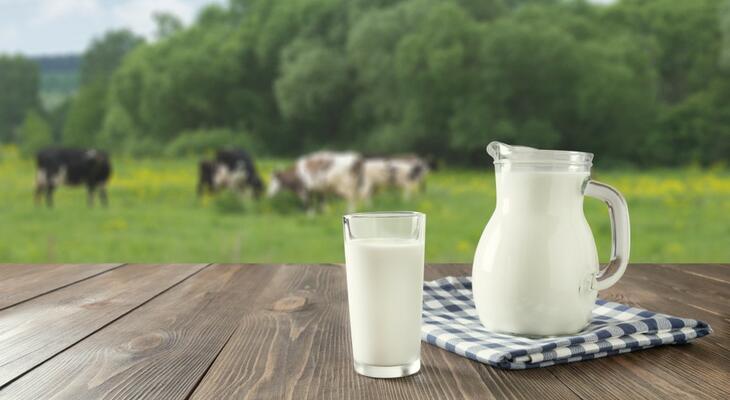  6 leggyakoribb tévhit a tejről