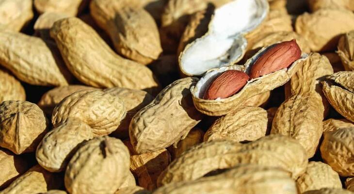 Biotin, kolin , és az inozitol fontosságát: Ismerd meg a biotin, kolin , és az inozitol fontosságát: