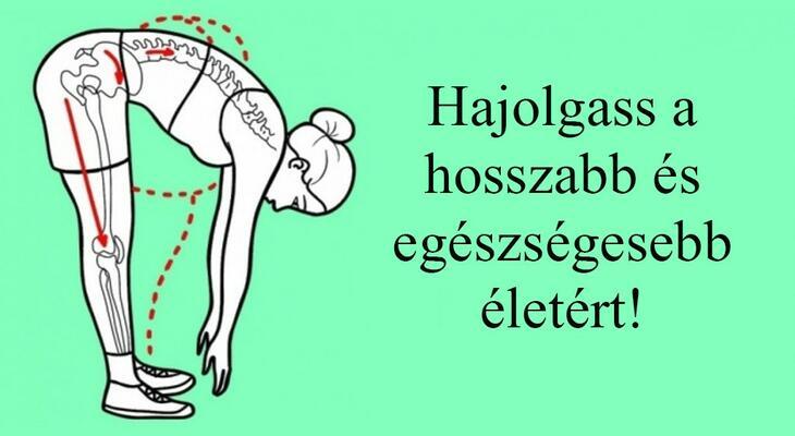 Az izmok karbantartása hajolgatással Az izmok karbantartása hajolgatással