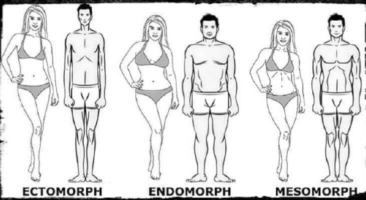 nehezen fogyó endomorf