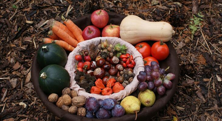 Hogyan tároljuk a gyümölcsöket, zöldségeket, hogy a vitamintartalmukat megtartsák?