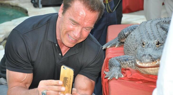 Mi a siker titka? Arnold Schwarzenegger elárulta! Így lehetsz sikeres Arnold Schwarzenegger szerint!