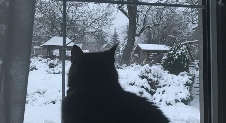 Hideg téli reggelek Ébredés télen
