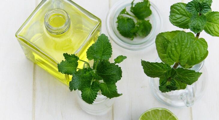 Te tudod, mennyi mindenre jó a menta? Ismerd meg alaposan a mentát!