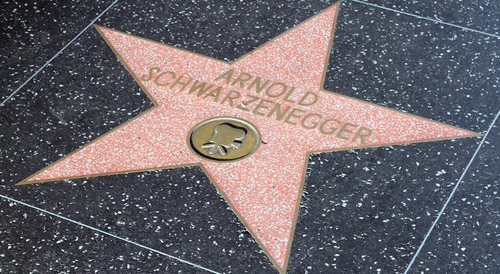 Arnold Schwarzenegger ingyenes edzésprogramja otthonra!