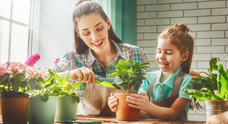A növények egészségesebbé és boldogabbá tesznek bennünket