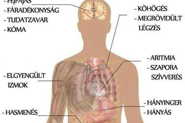 Elsavasodás! Mire figyeljünk?