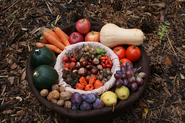Hogyan tároljuk a gyümölcsöket, zöldségeket, hogy a vitamintartalmukat megtartsák?