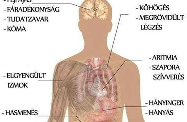 Elsavasodás! Mire figyeljünk?