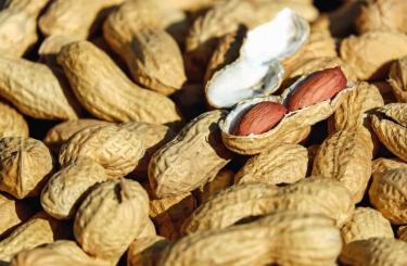 Ismerd meg a biotin, kolin , és az inozitol fontosságát:
