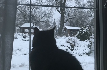 Ébredés télen