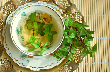 Ismerd meg alaposan a mentát!