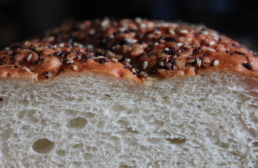 Szénhidrátok, minden tudnivaló egy helyen