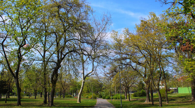 parkok budapesten